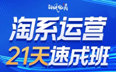 白凤电商·淘系运营21天速成班(更新7月)-云析科技